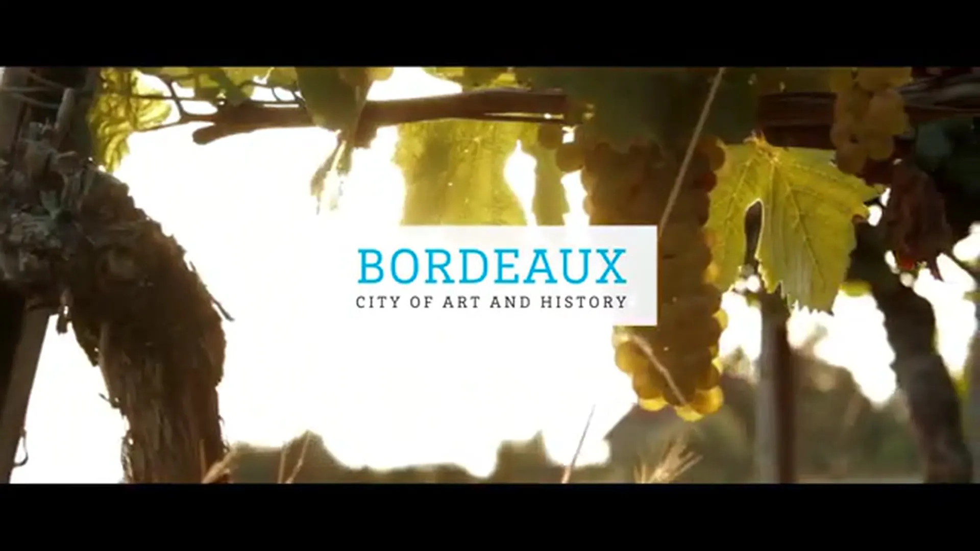 University of Bordeaux - Bordeaux - France - MastersPortal.com