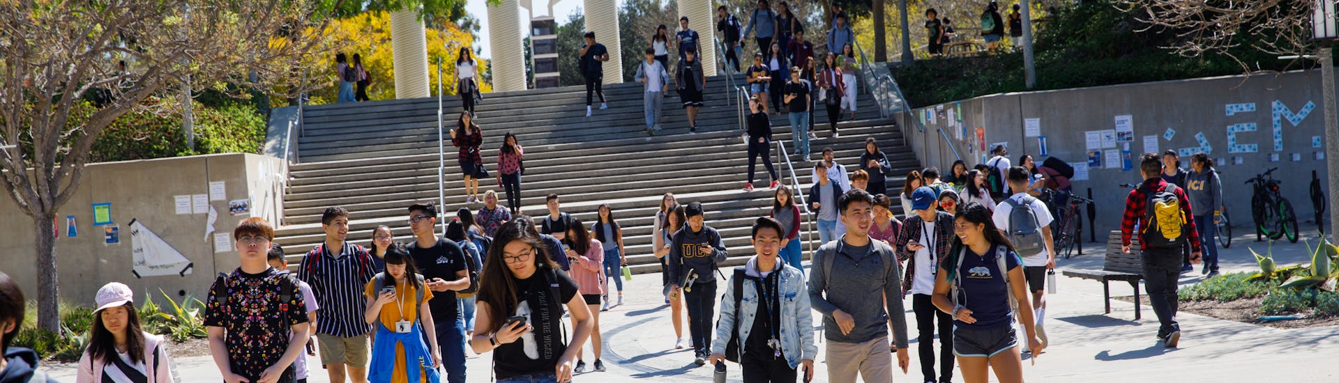 Business Information Management B Sc University Of California Business Information Management B Sc