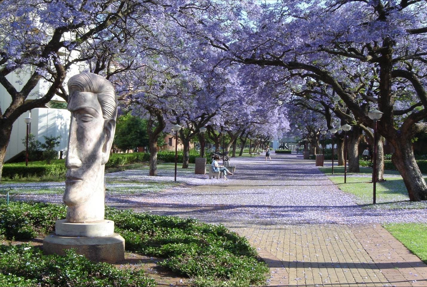 University of Pretoria | University Info | 449 Masters in English -  Mastersportal.com