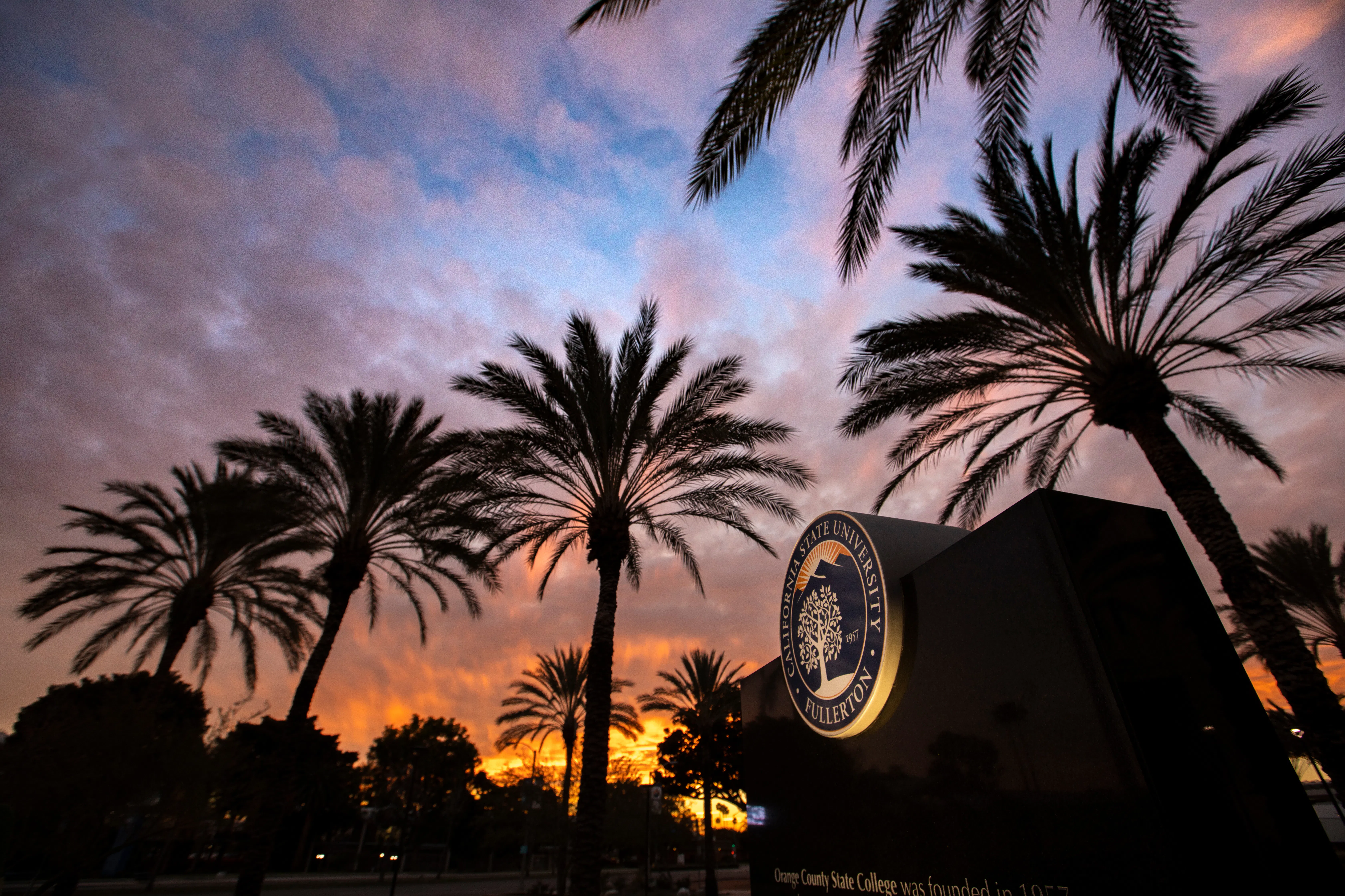 Study cover for Communications, Journalism Concentration