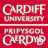 Cardiff University Logo