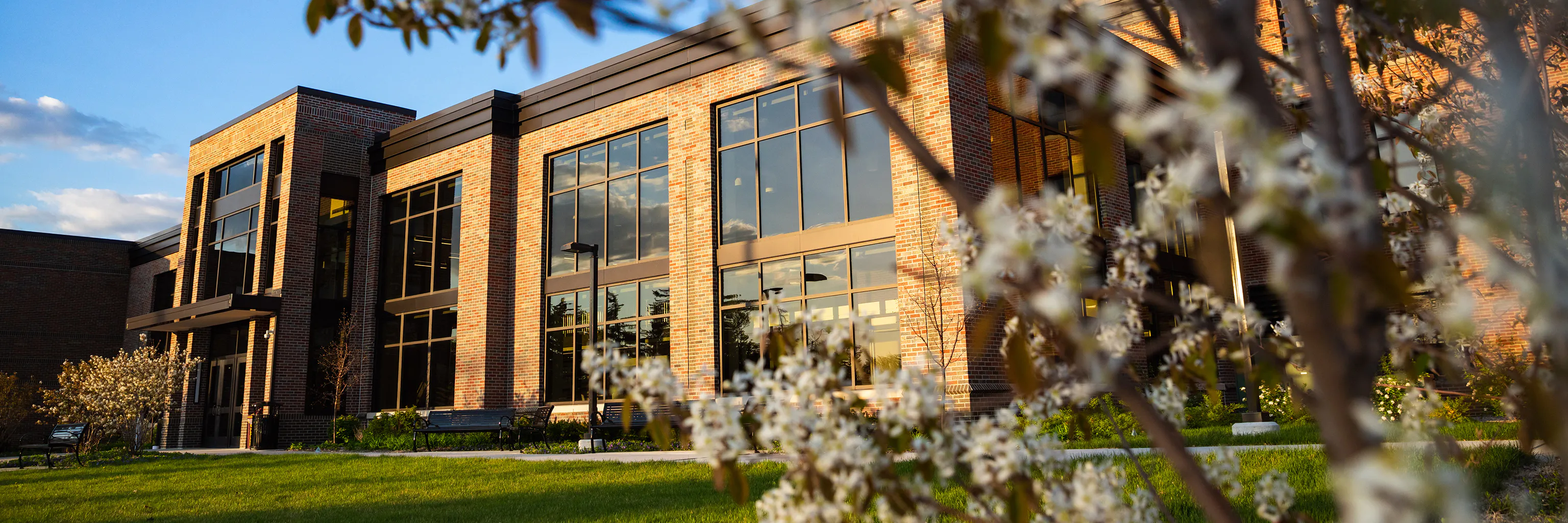 Study cover for Information Systems