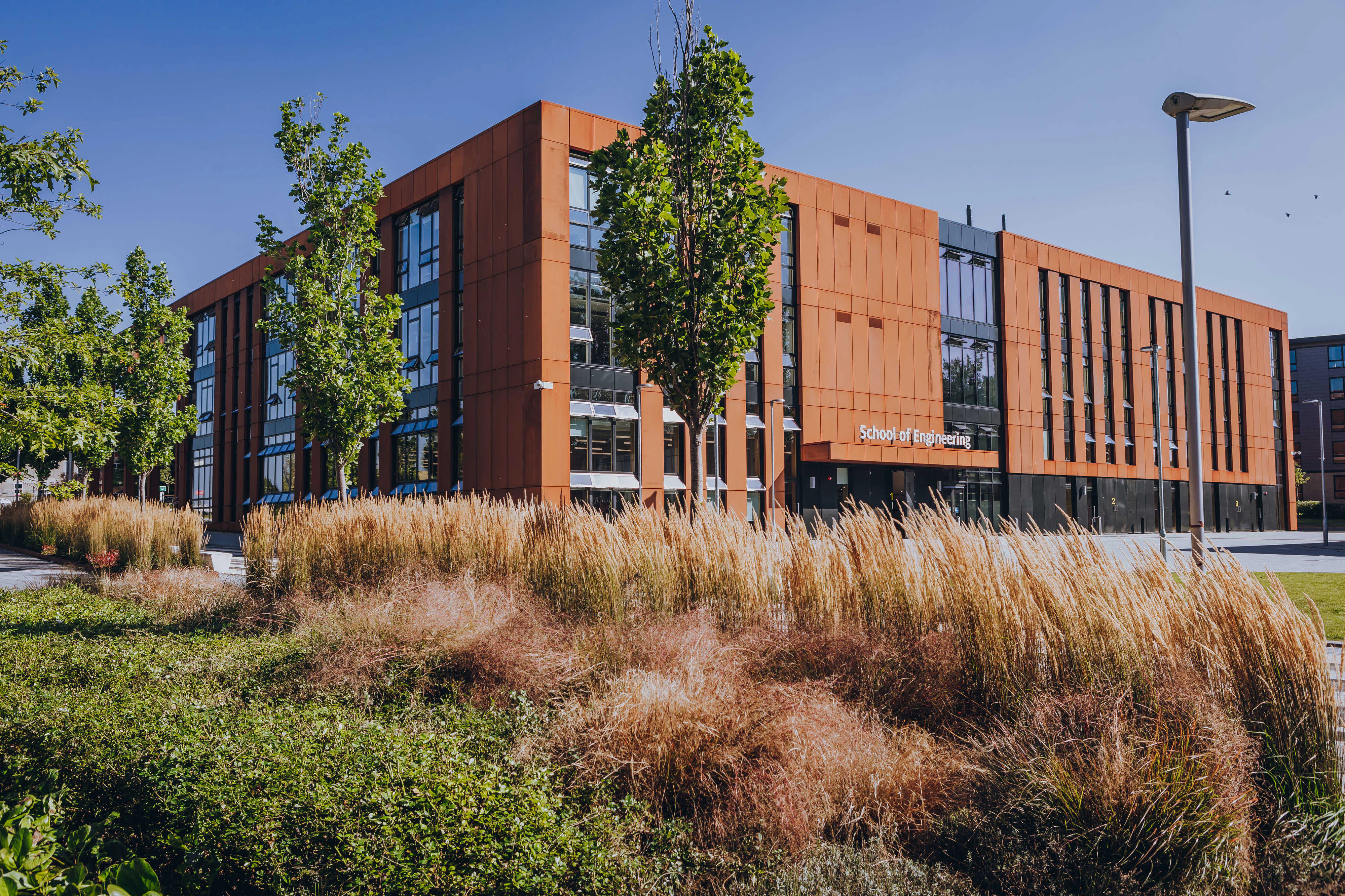 Study cover for Information Technology