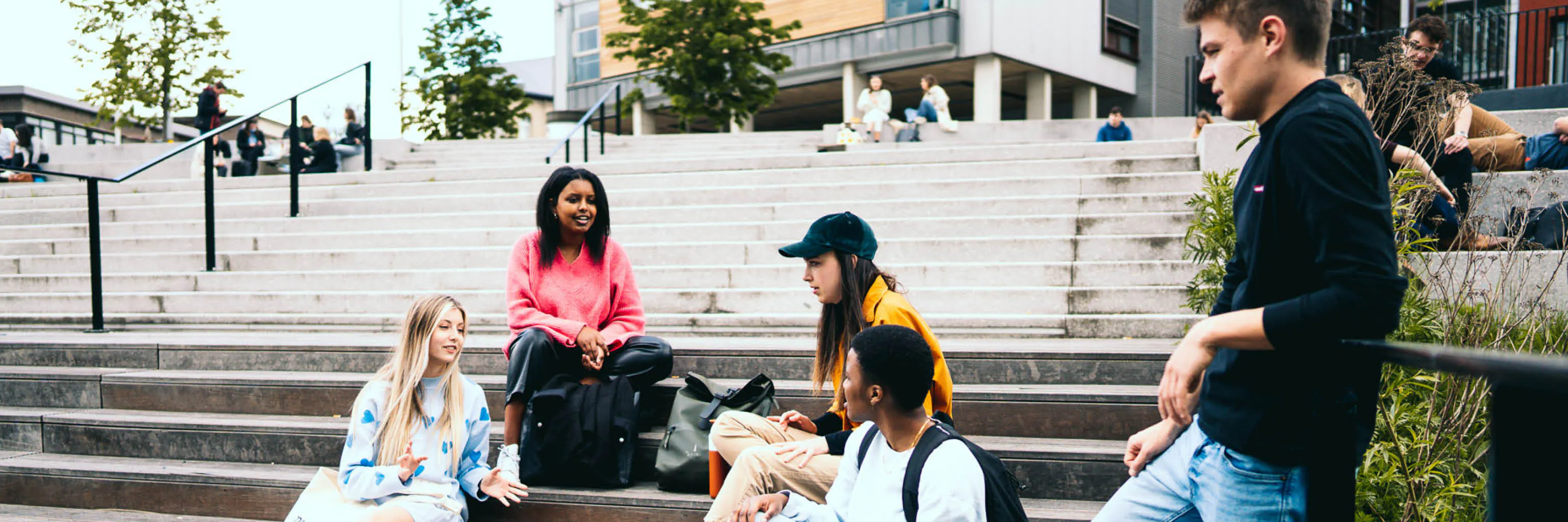 Study cover for Esports Manager