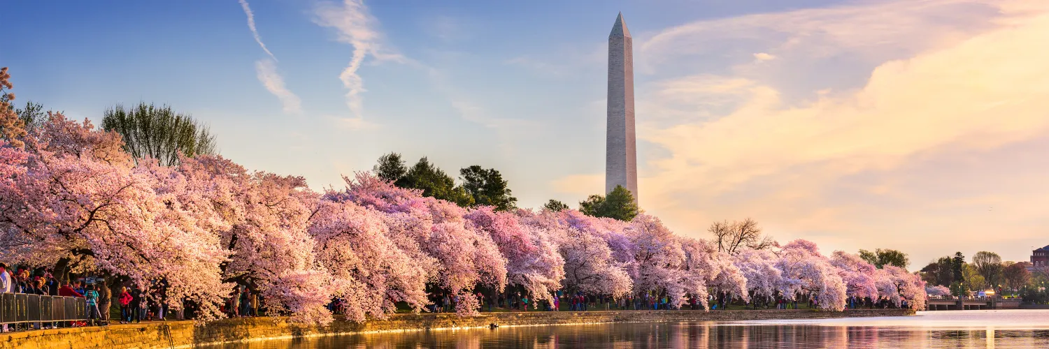 Study cover for International Relations