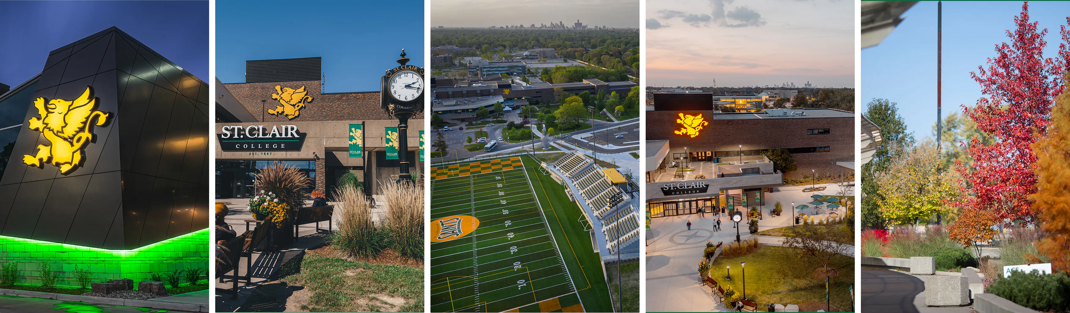 Study cover for English for Academic Purposes (EAP)