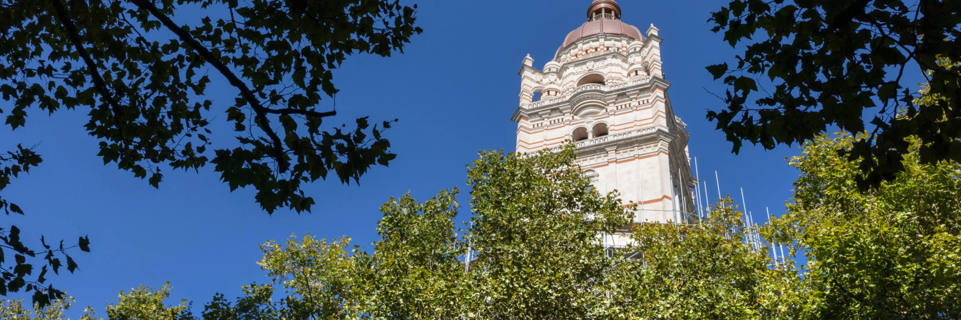 Study cover for Biomedical Engineering (Medical Physics)