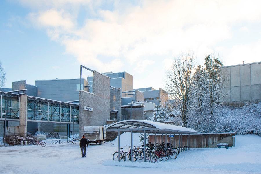 Tampere University University Info 37 Masters in English