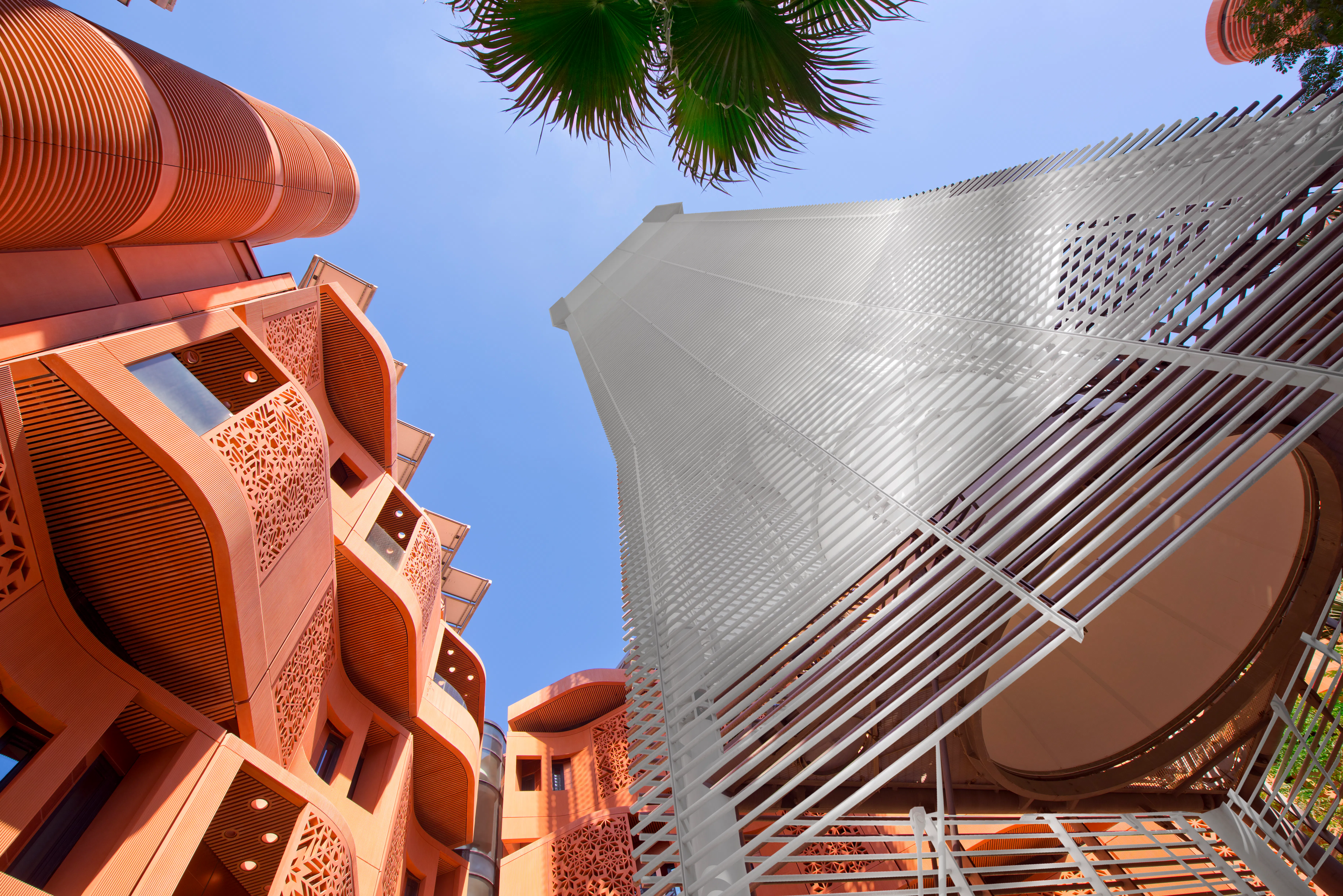 Study cover for Artificial Intelligence (Business)