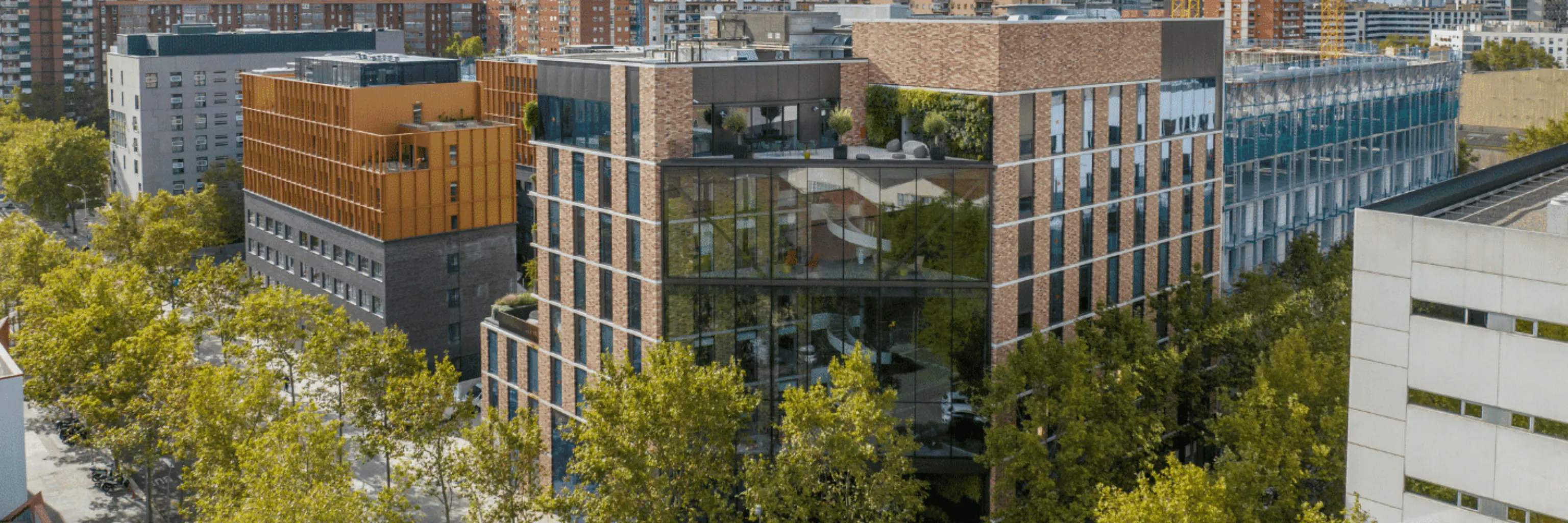 Study cover for Digital Transformation and Business Innovation (Barcelona)