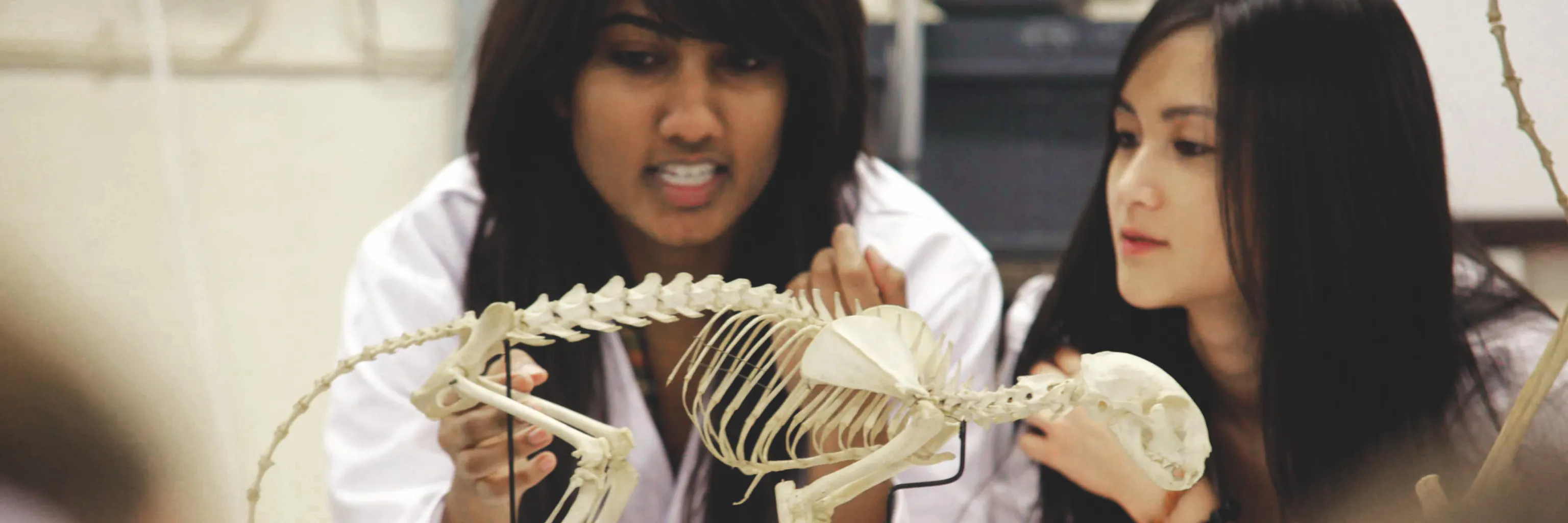 Study cover for Undergraduate Foundation Programme