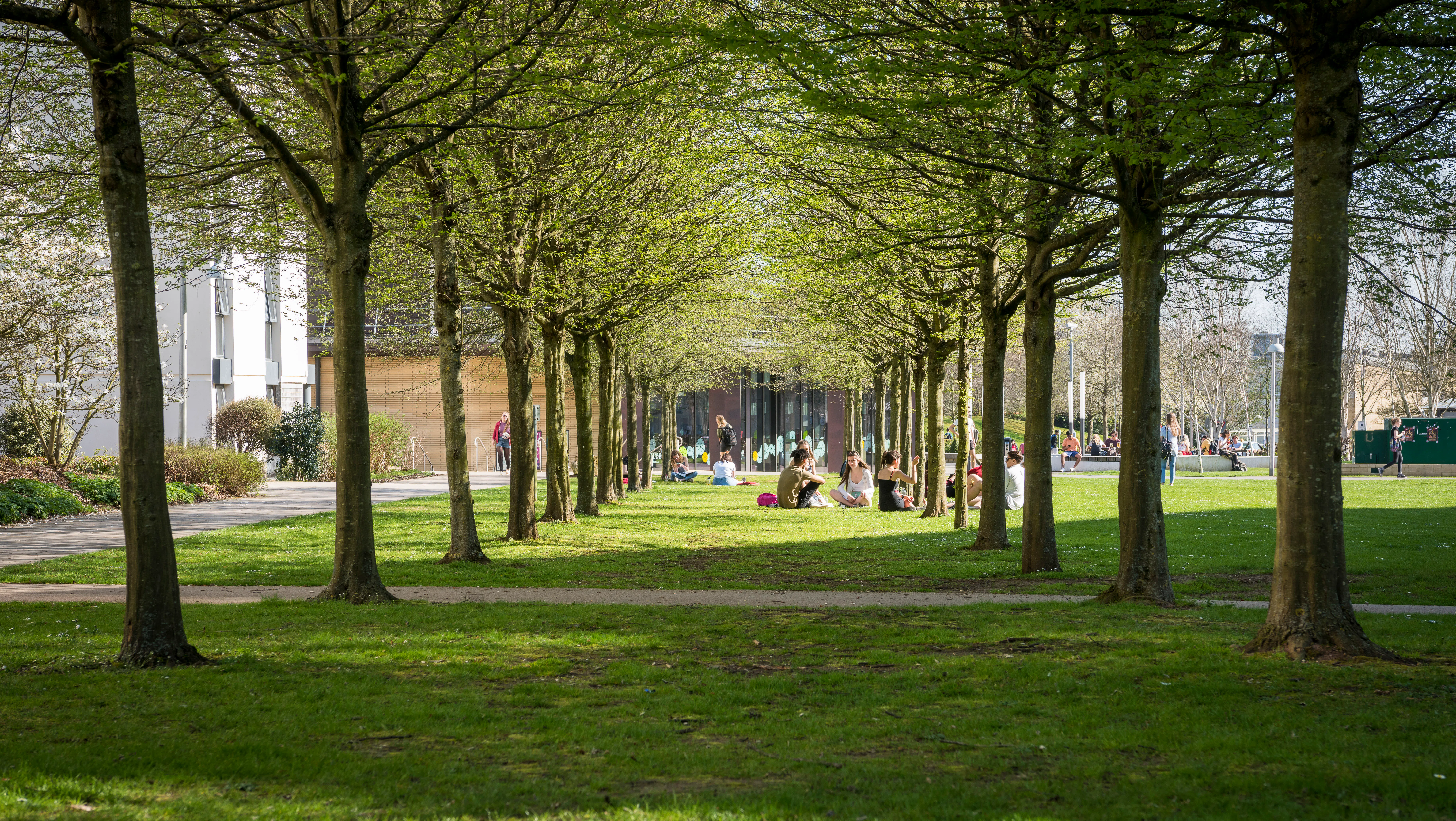 Study cover for Sport and Exercise Medicine