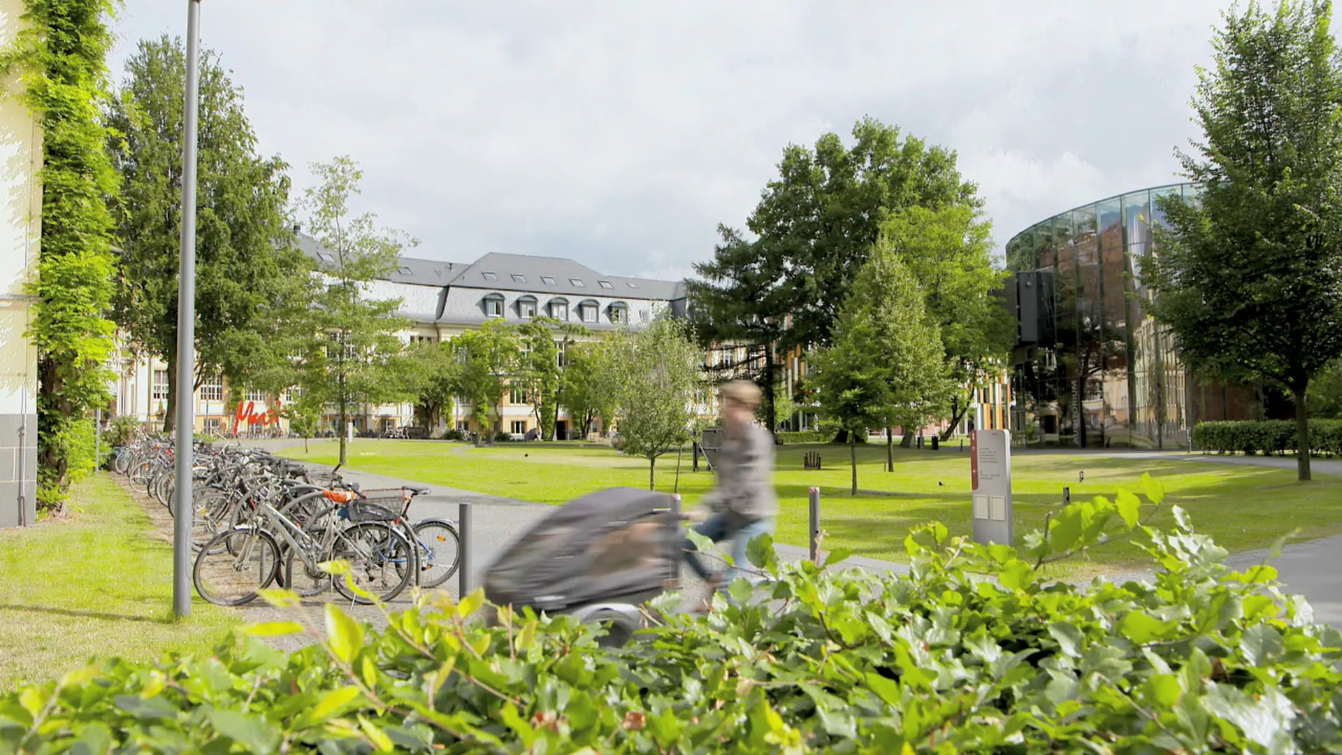 Bucerius Law School Hamburg Germany