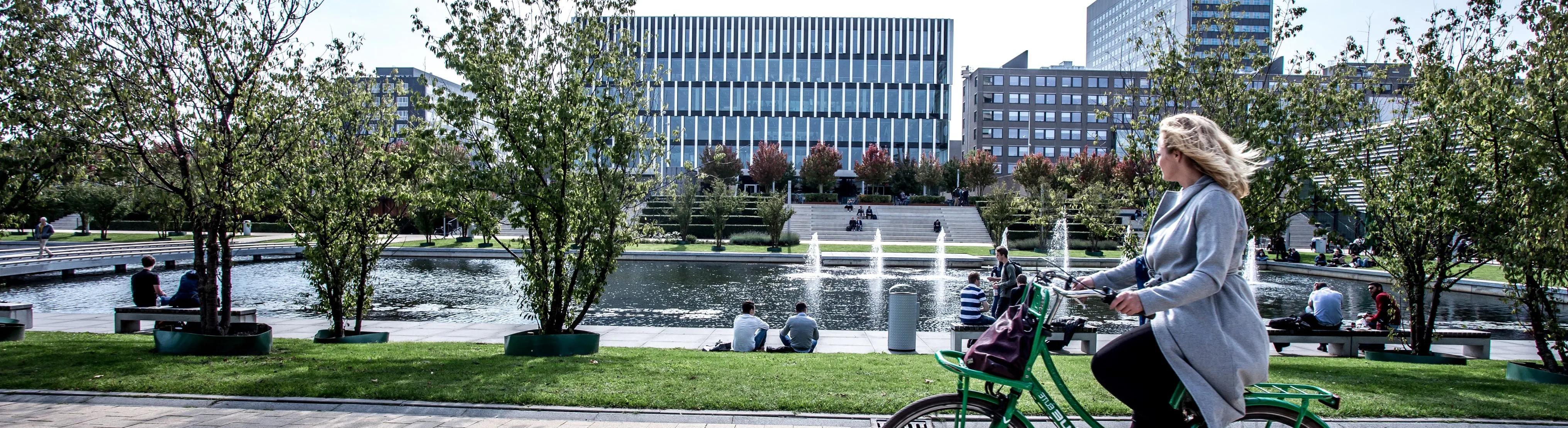 Study cover for Societies in Crisis - Humanitarian Action and Policy Responses