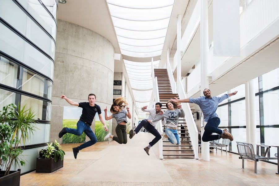 International Master Of Computer Science Imc Diplome D