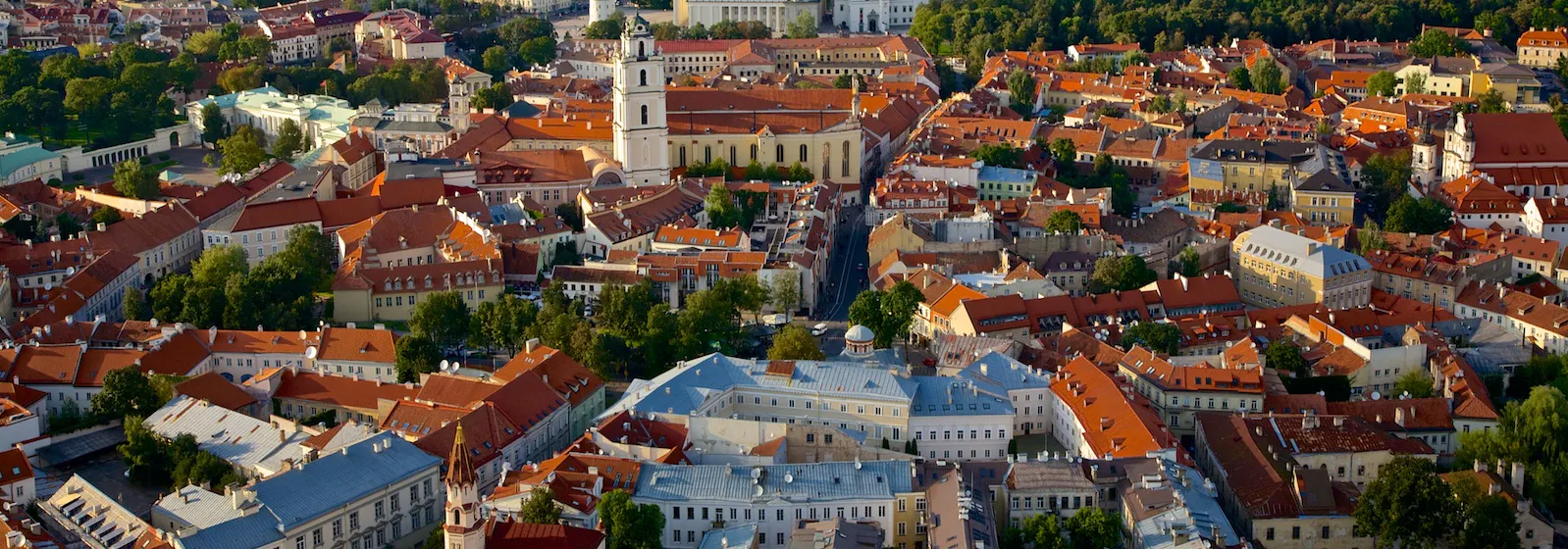 Study cover for Global Leadership and Strategy