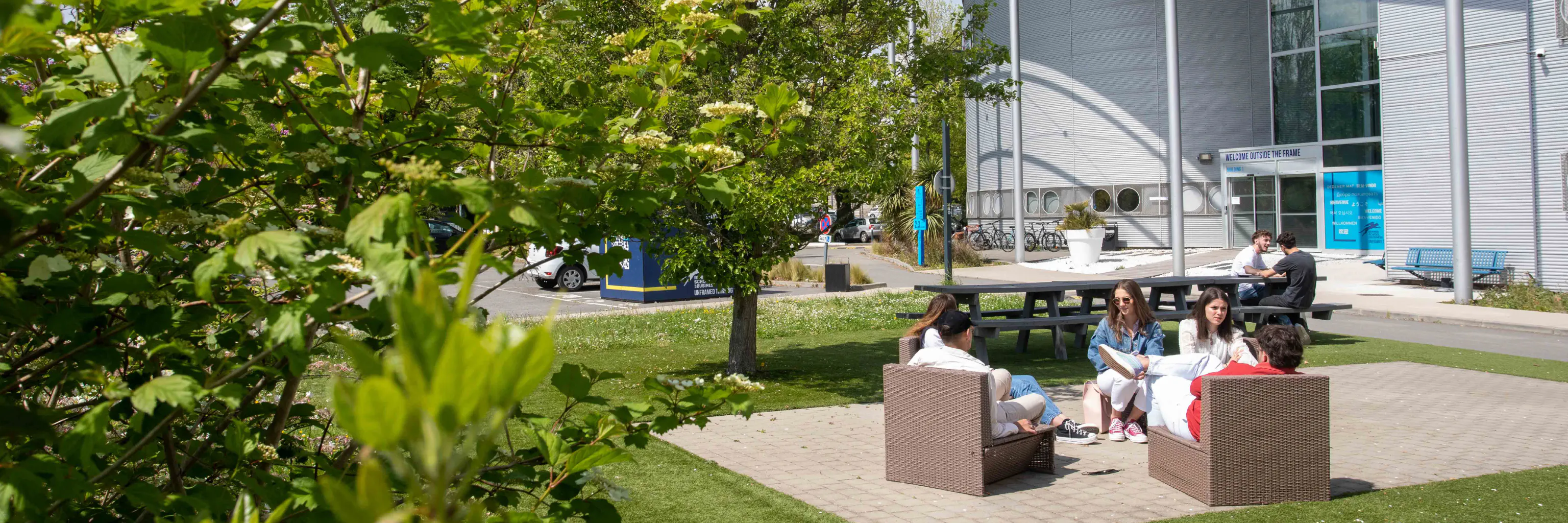 Study cover for Luxury Marketing and Brand Management