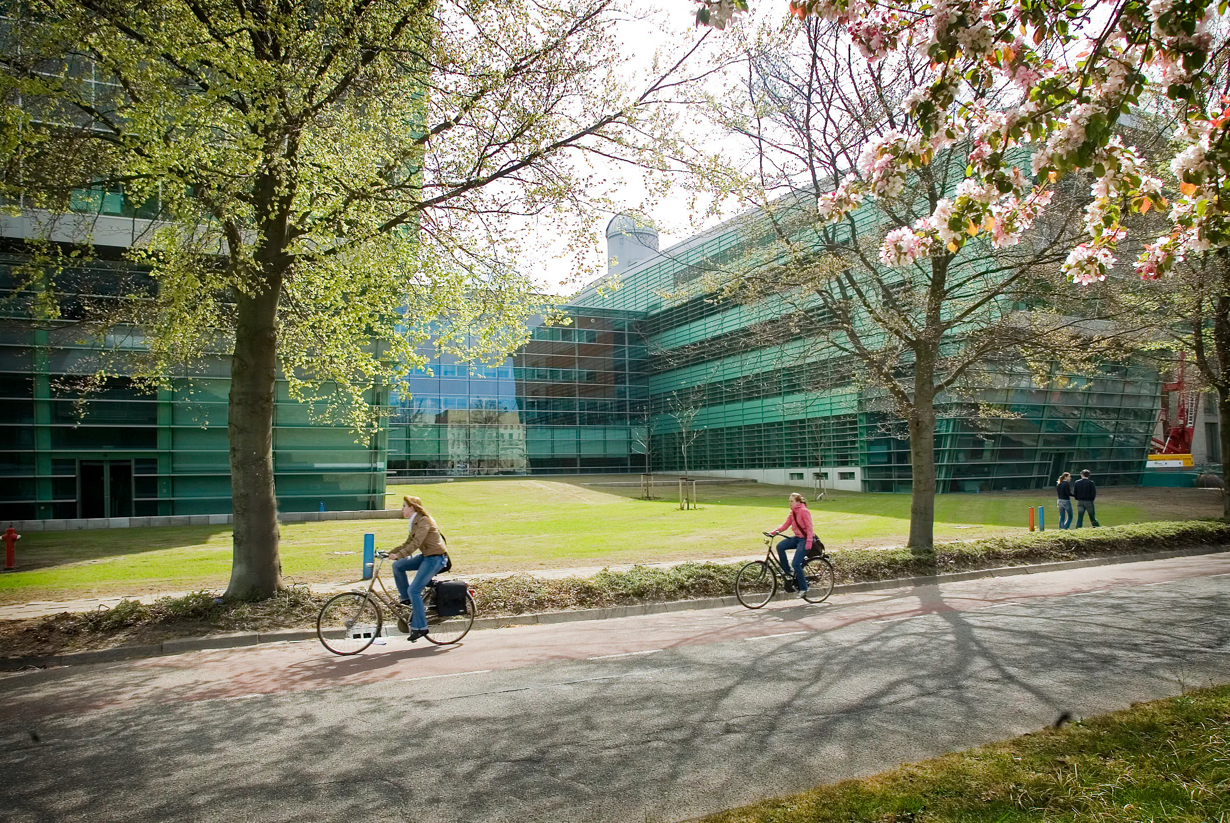 Molecular Life Sciences B.Sc. at Radboud University | Bachelorsportal
