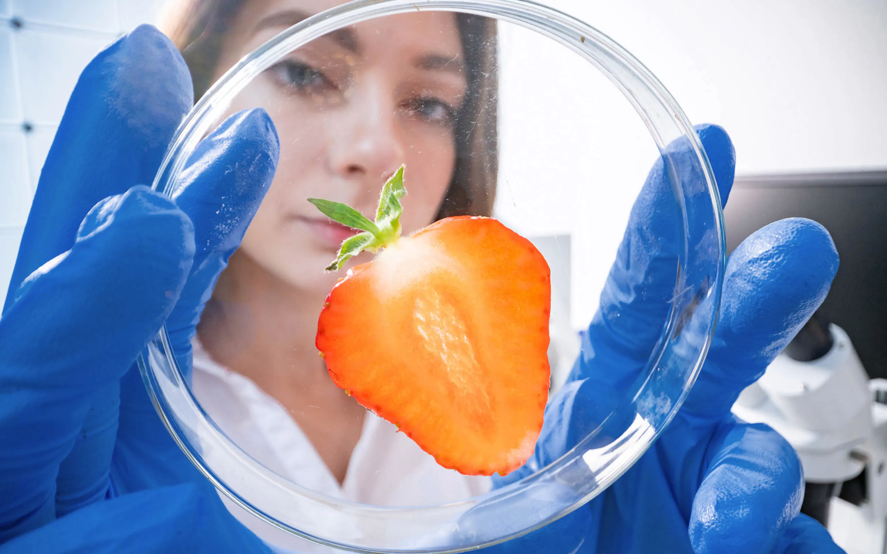 Study cover for Food Sciences