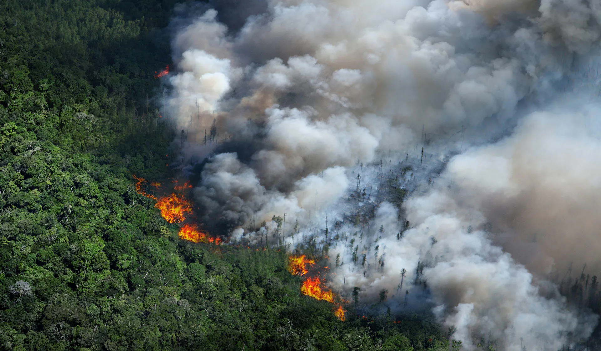 Study cover for Environmental Change and Global Sustainability