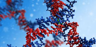 Study cover for Genetics and Molecular Biosciences