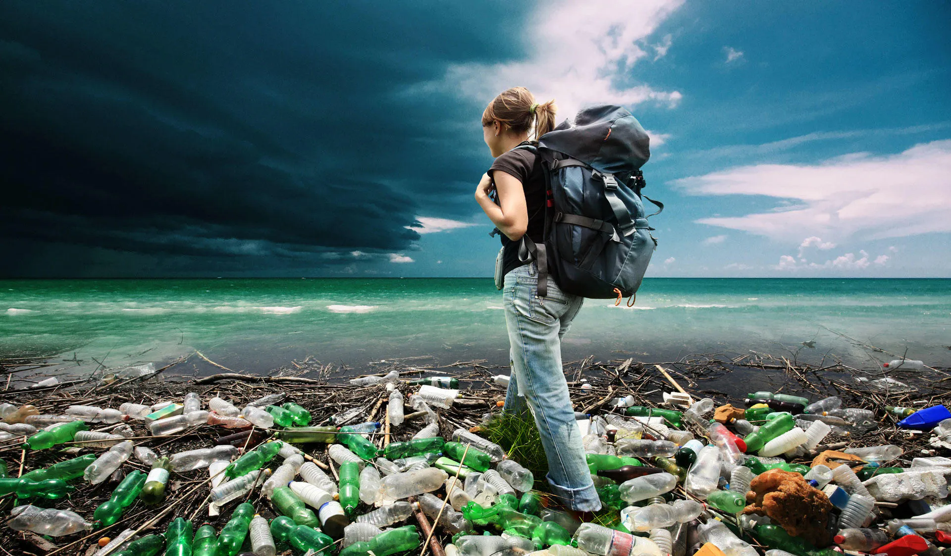 Study cover for Agricultural, Environmental and Resource Economics