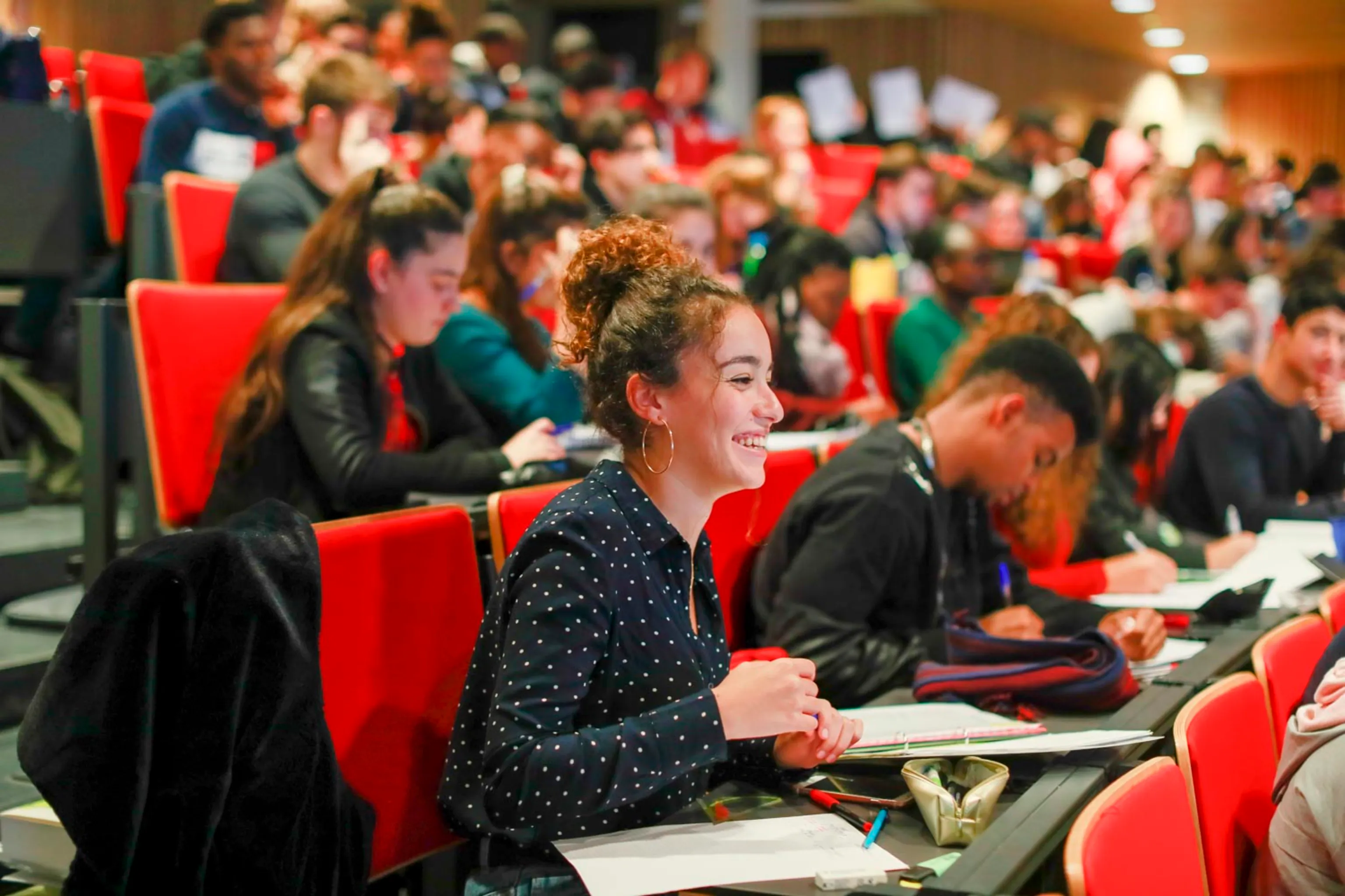 Study cover for Business Management - International Track