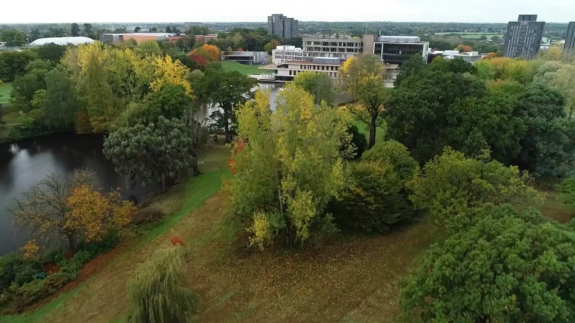 Journalism and Politics at University of Essex Image 13