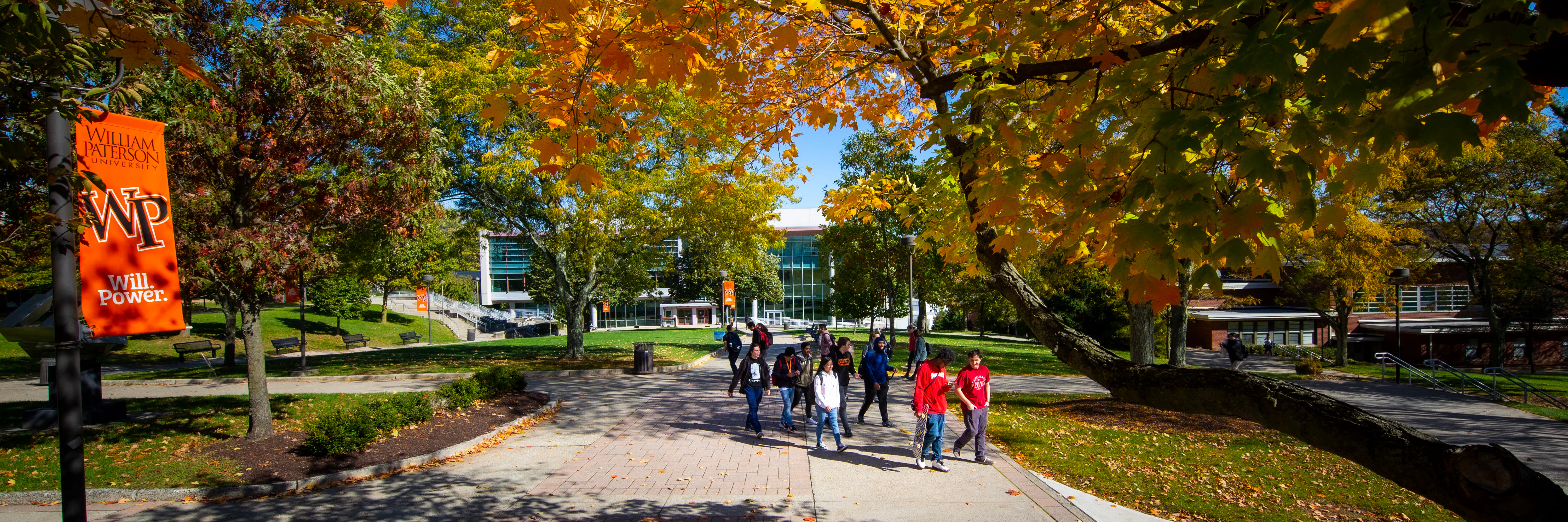 Study cover for Popular Music