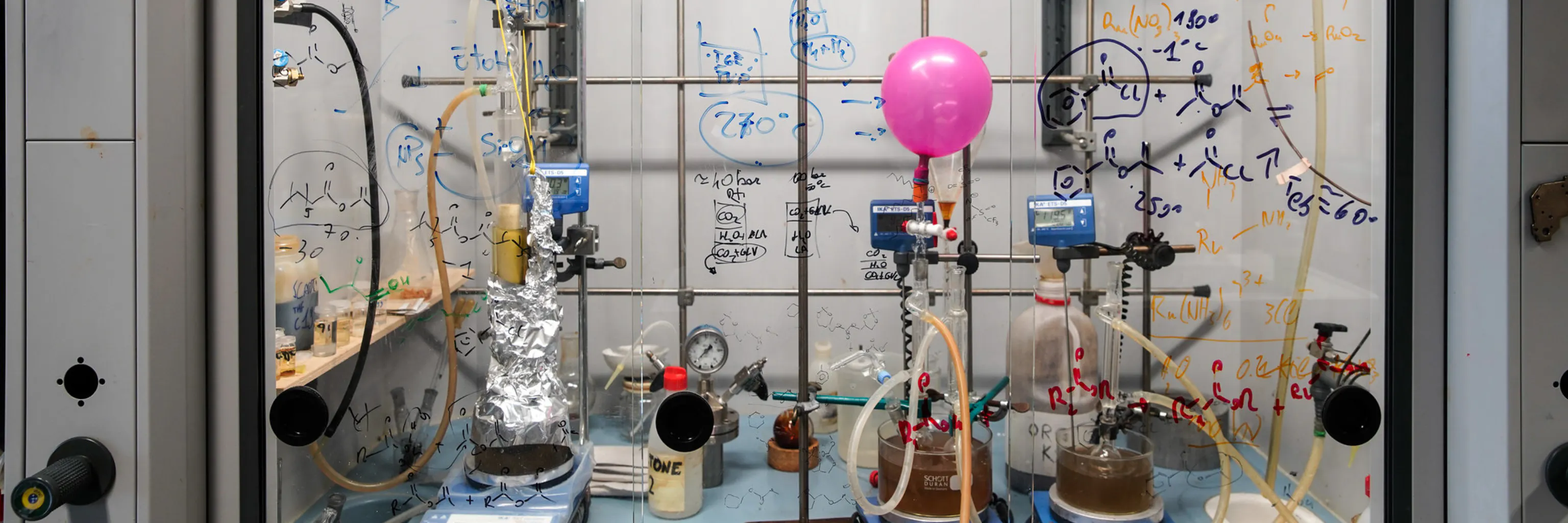 Study cover for Environmental Sciences