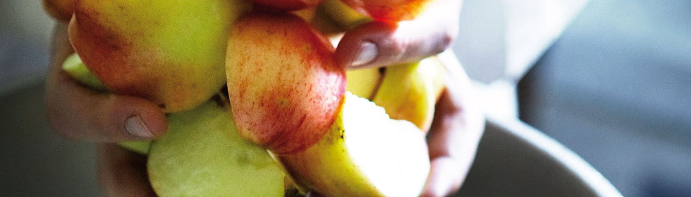 Food Technology, M.Sc. | Technical University of Denmark (DTU