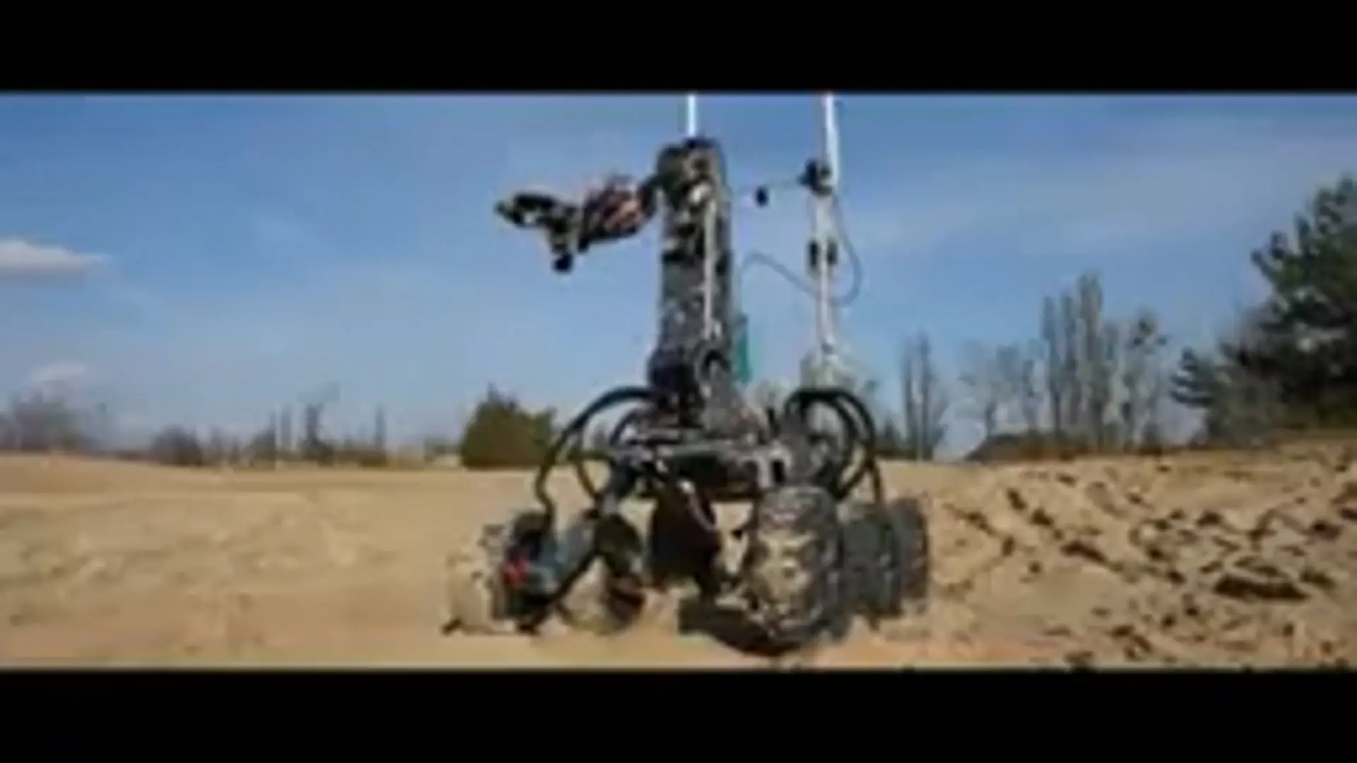 339019