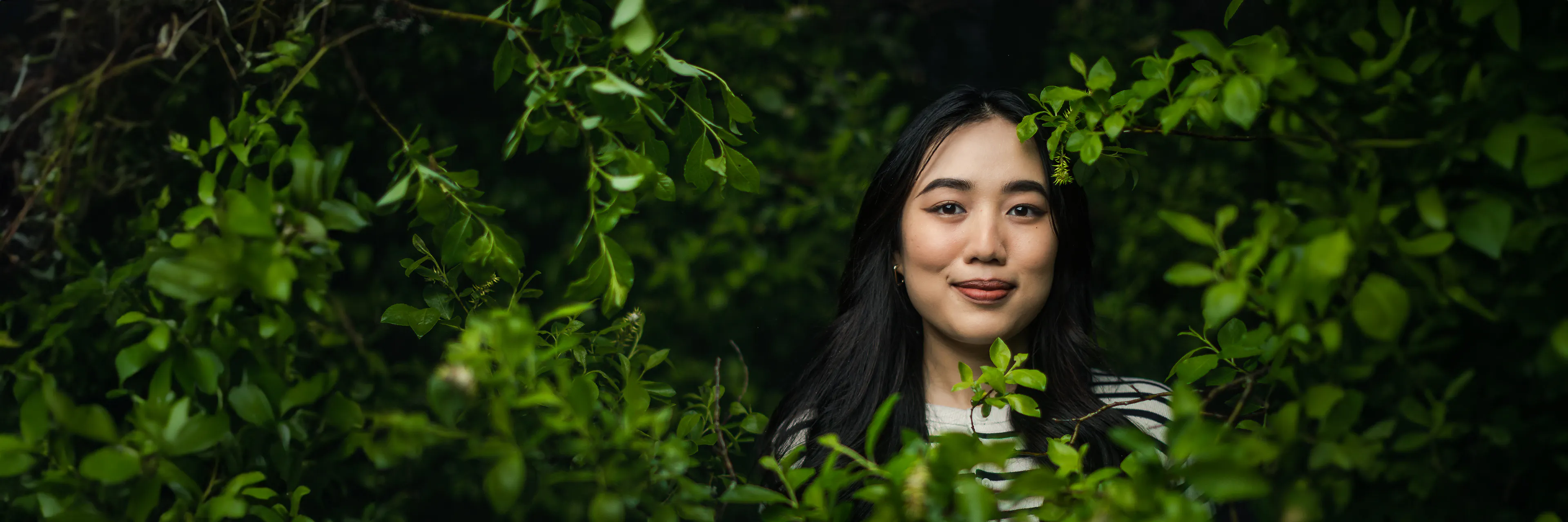 Study cover for Software Product Management and Business