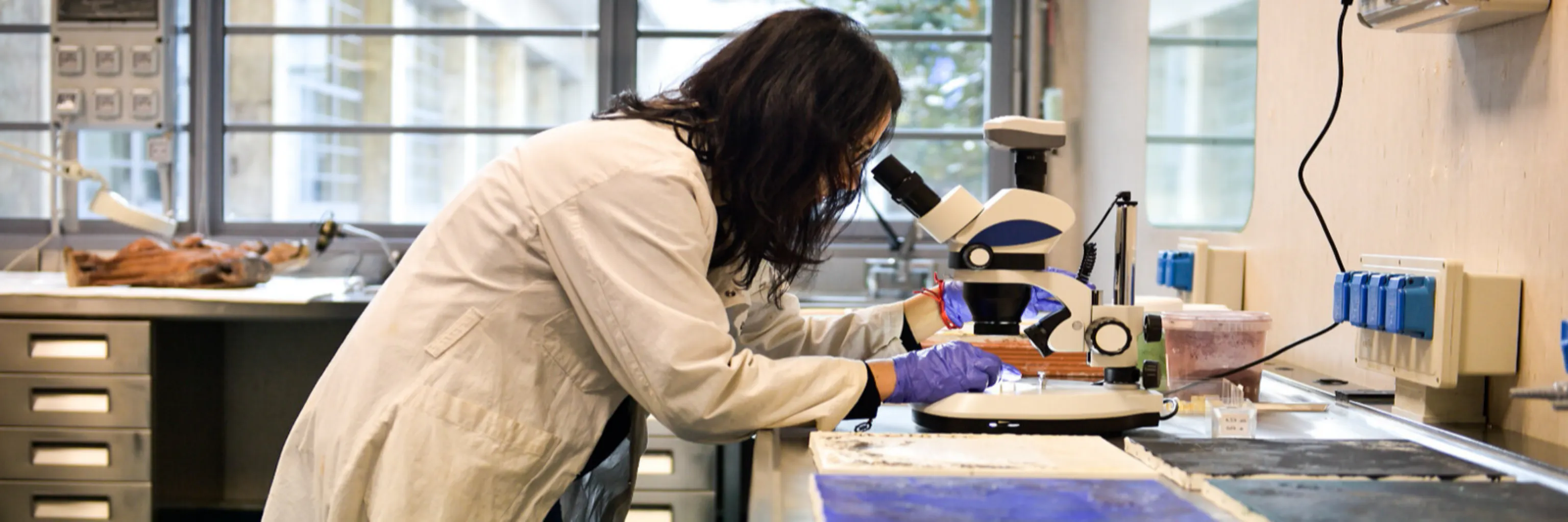 Study cover for Conservation Science and Technology for Cultural Heritage