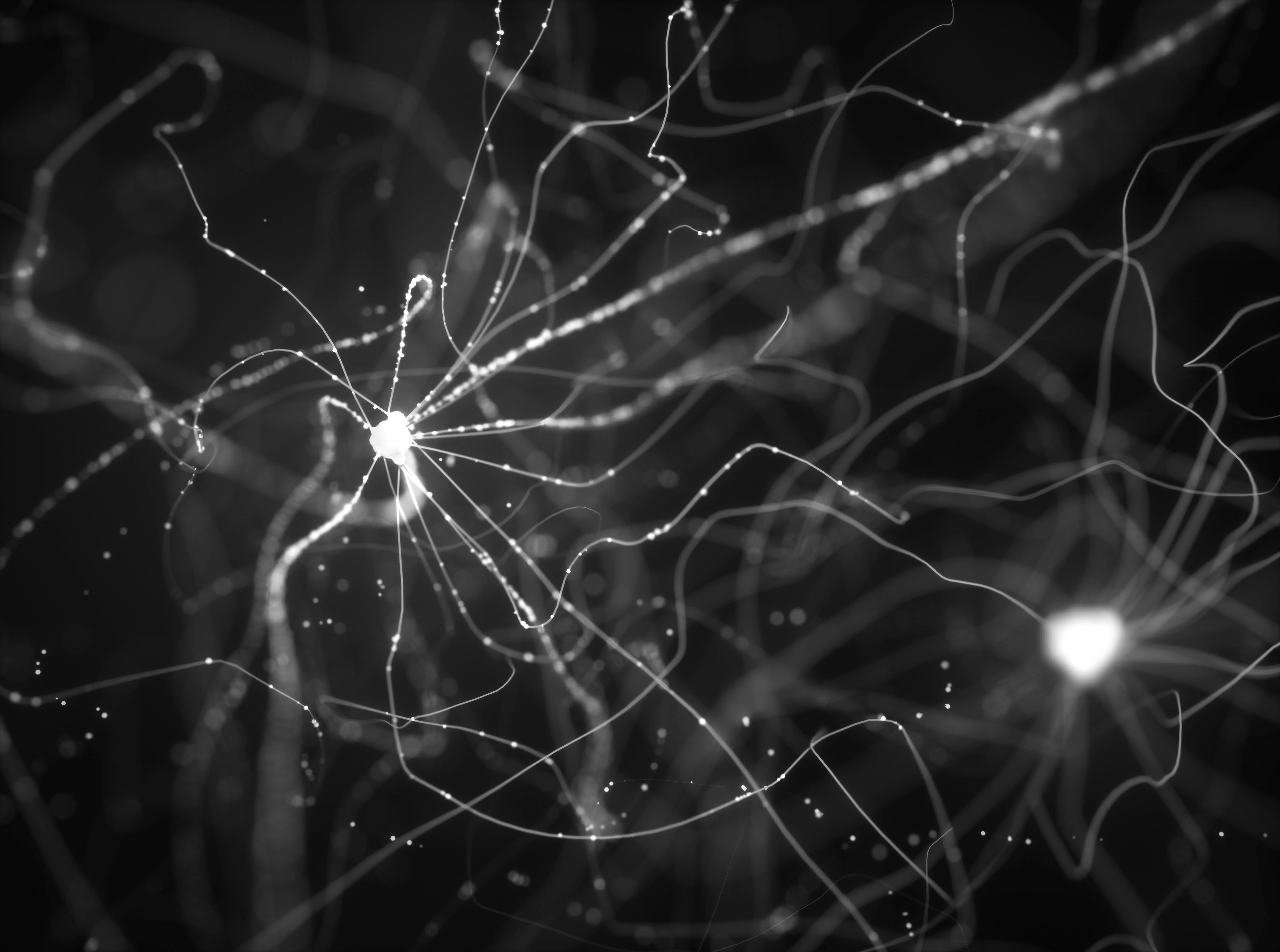 Study cover for Psychology