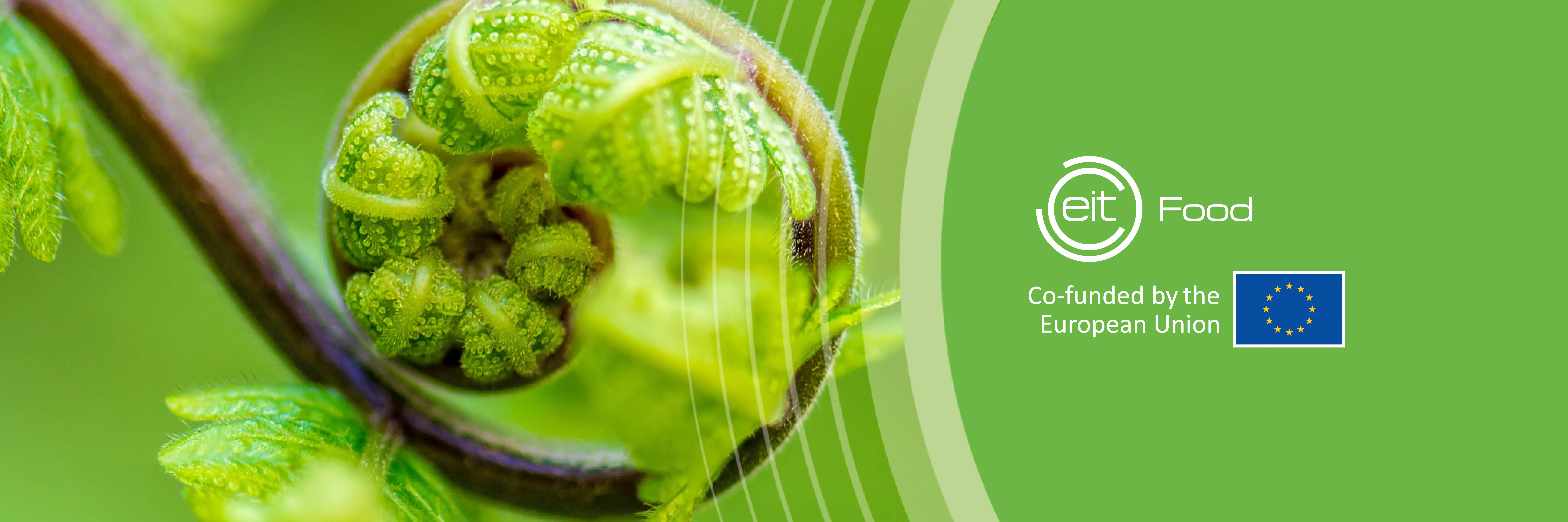 Study cover for Food Systems