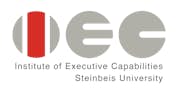 Institute of Executive Capabilities, Steinbeis University Berlin