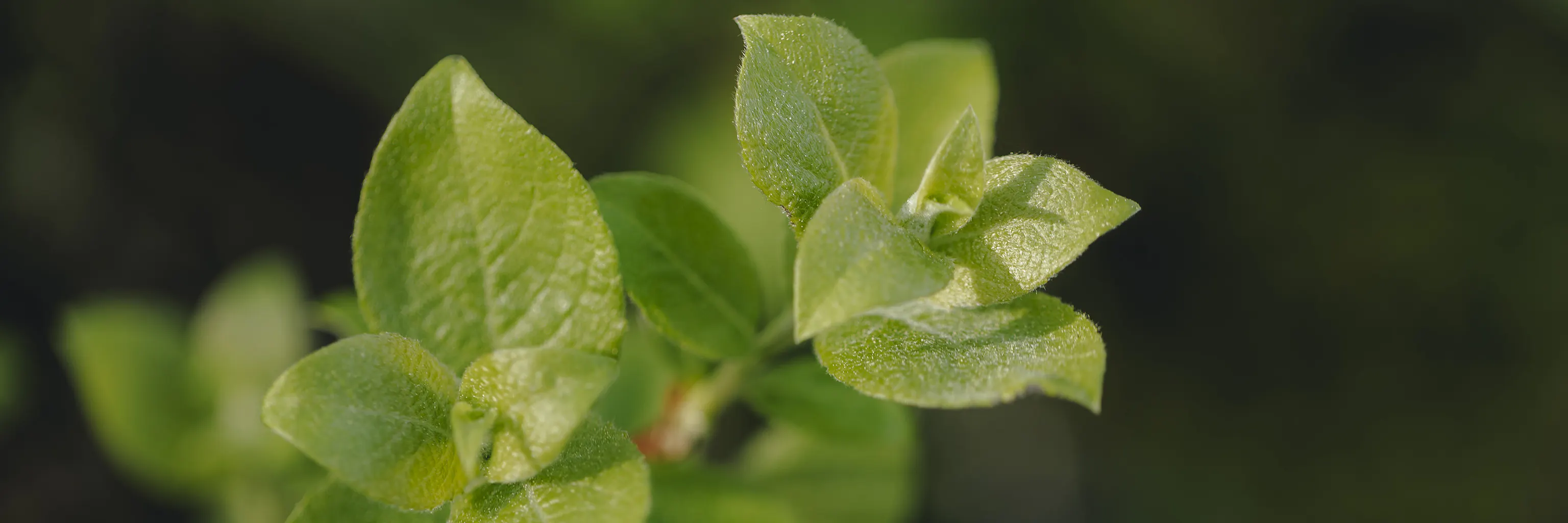 Study cover for Energy Technology