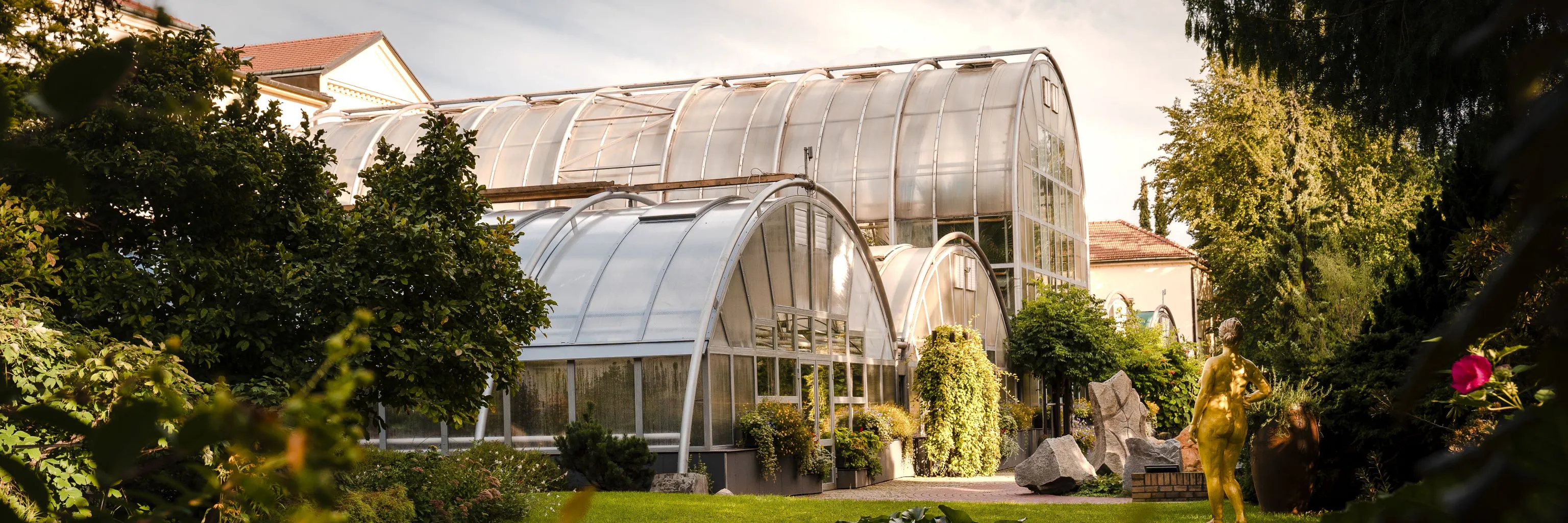 Study cover for Molecular and Cell Biology