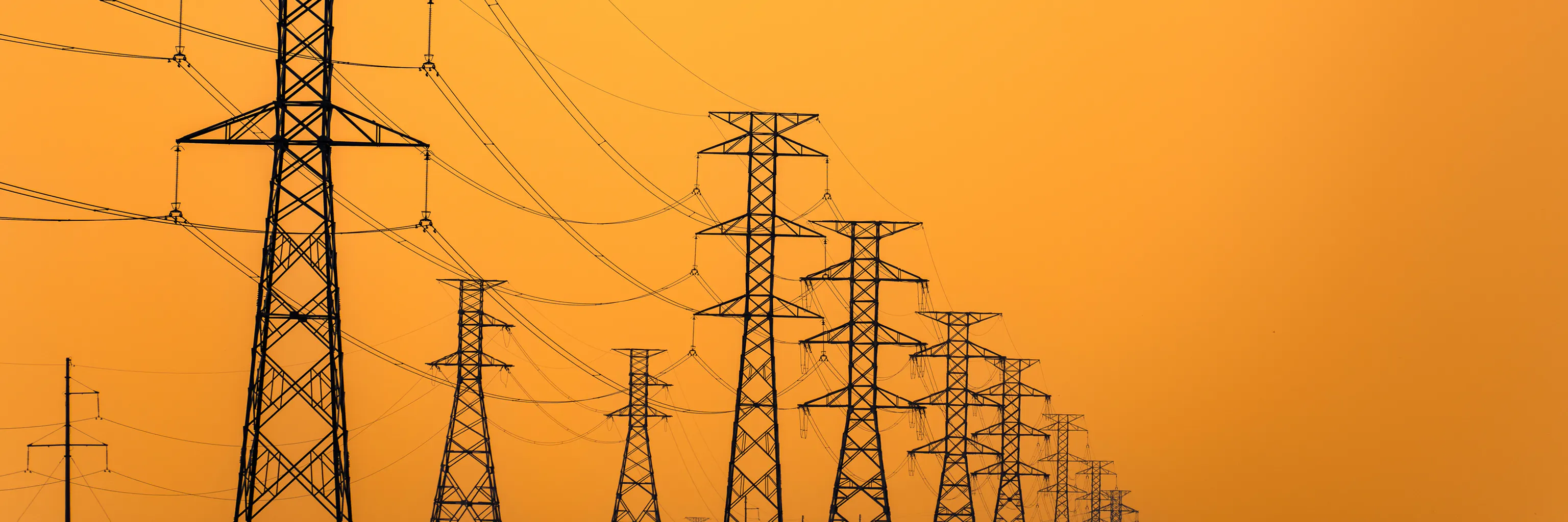 Study cover for Smart Electrical Networks and Systems