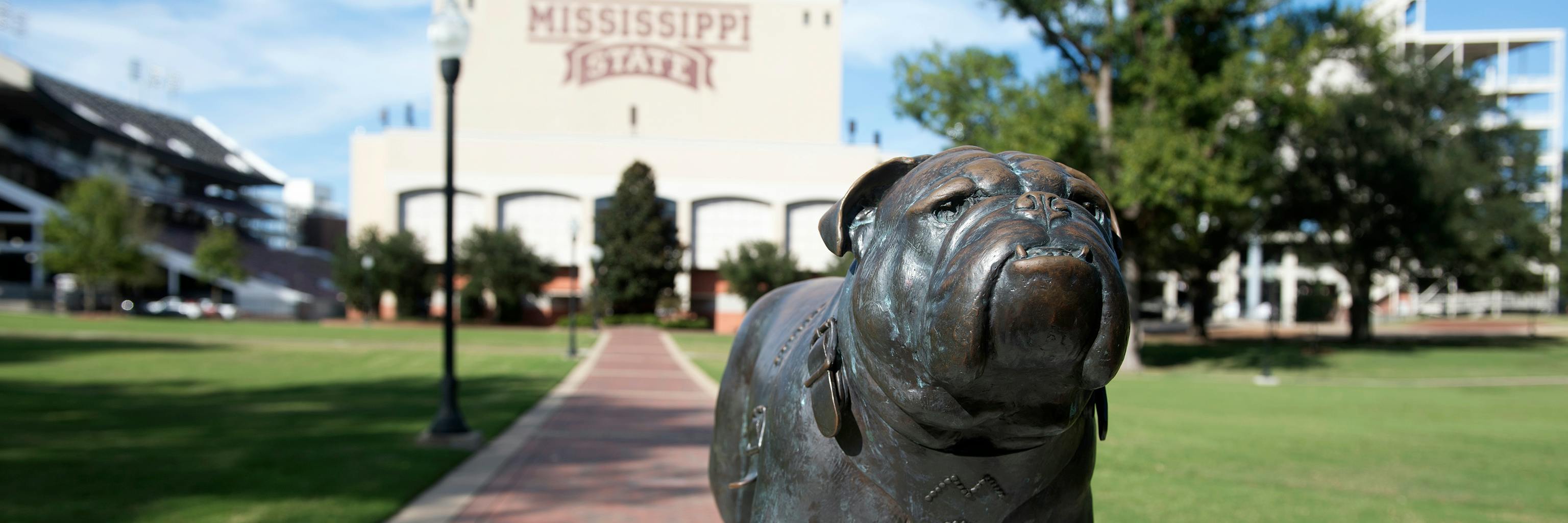 Physician Assistant Studies Master The University Of Texas Rio Grande Valley Texas City United States