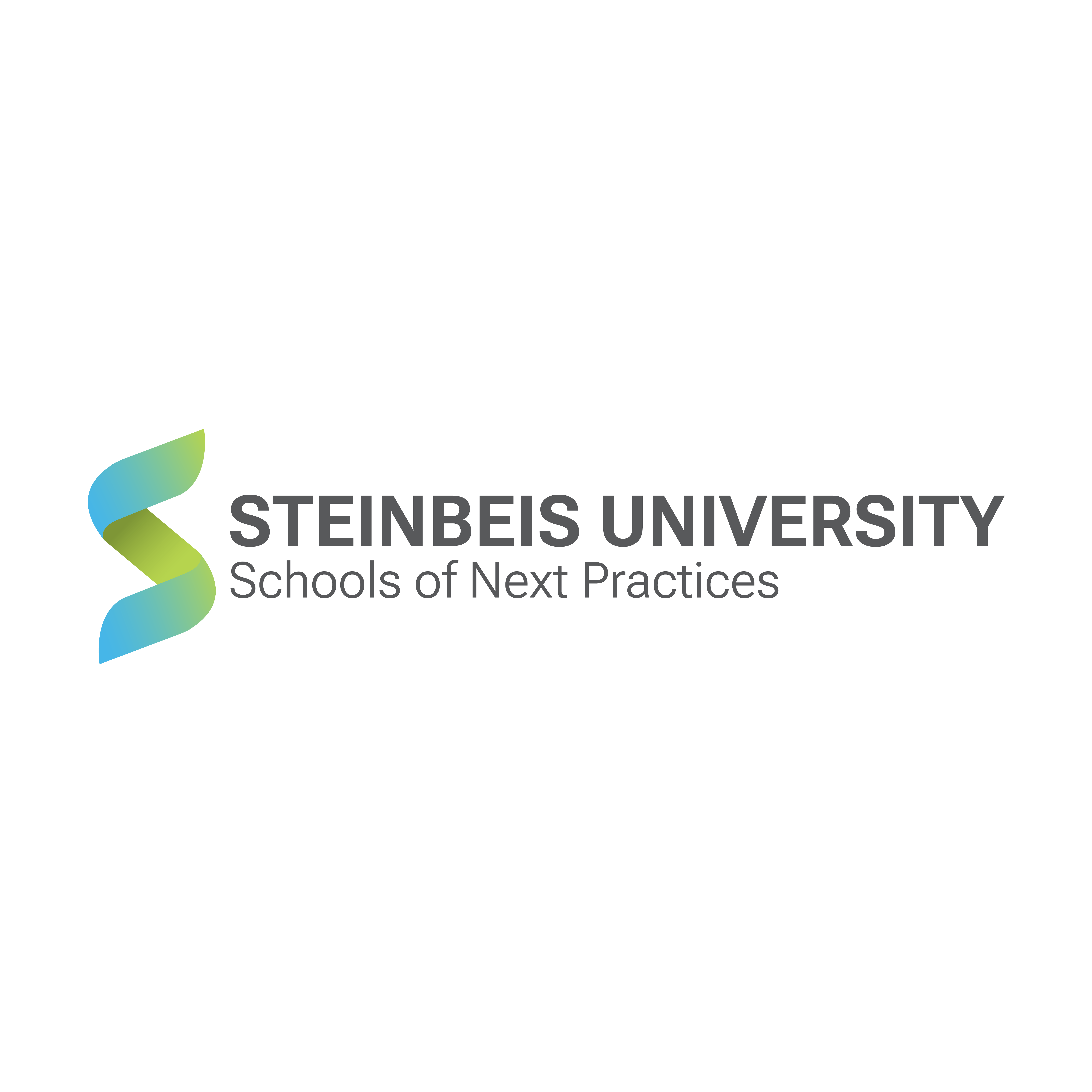 Logo of Steinbeis Next