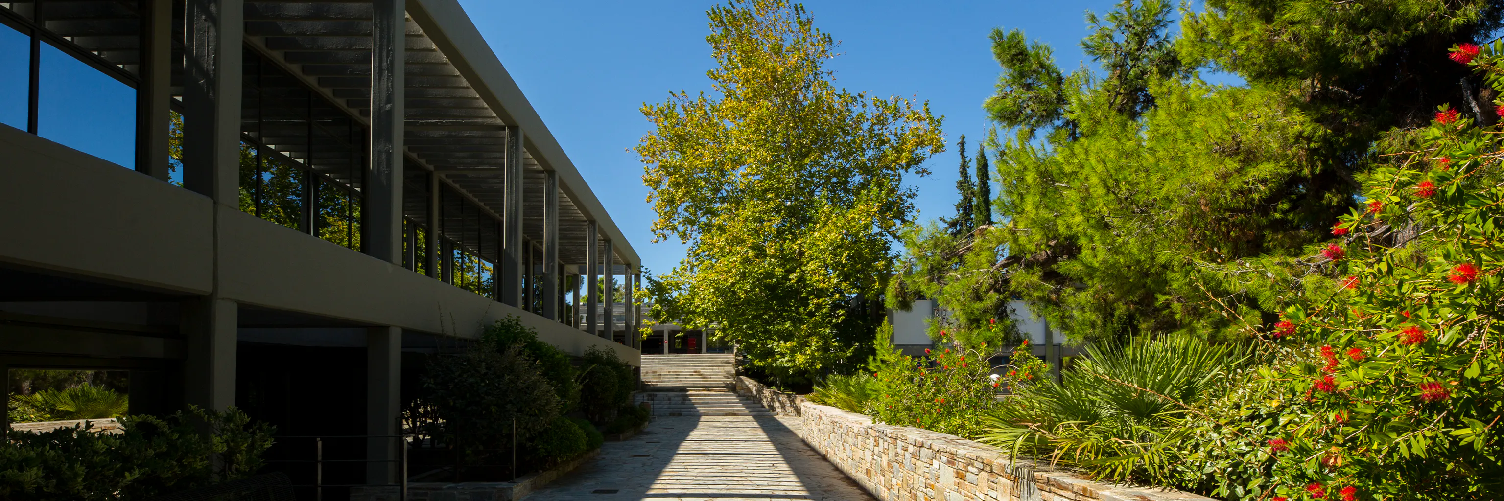 Study cover for Data Science