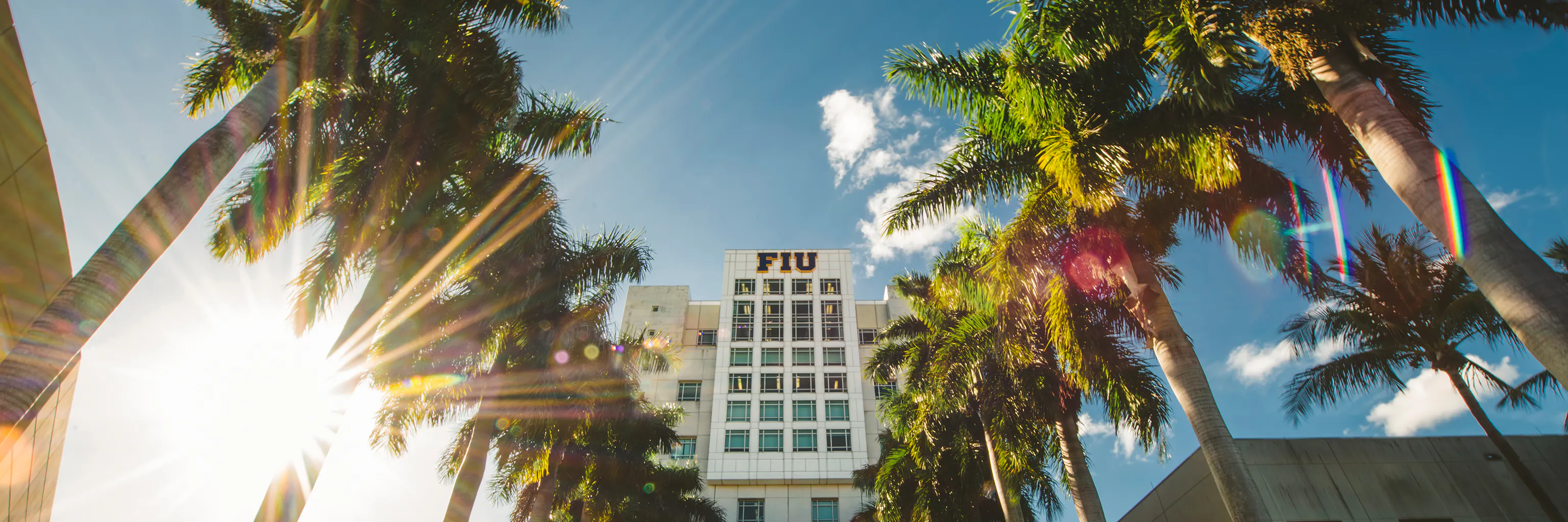 Study cover for International Real Estate