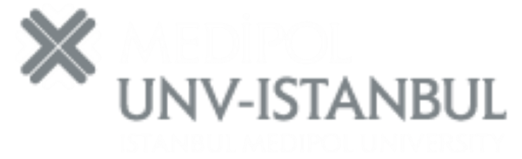 Logo of Istanbul Medipol University