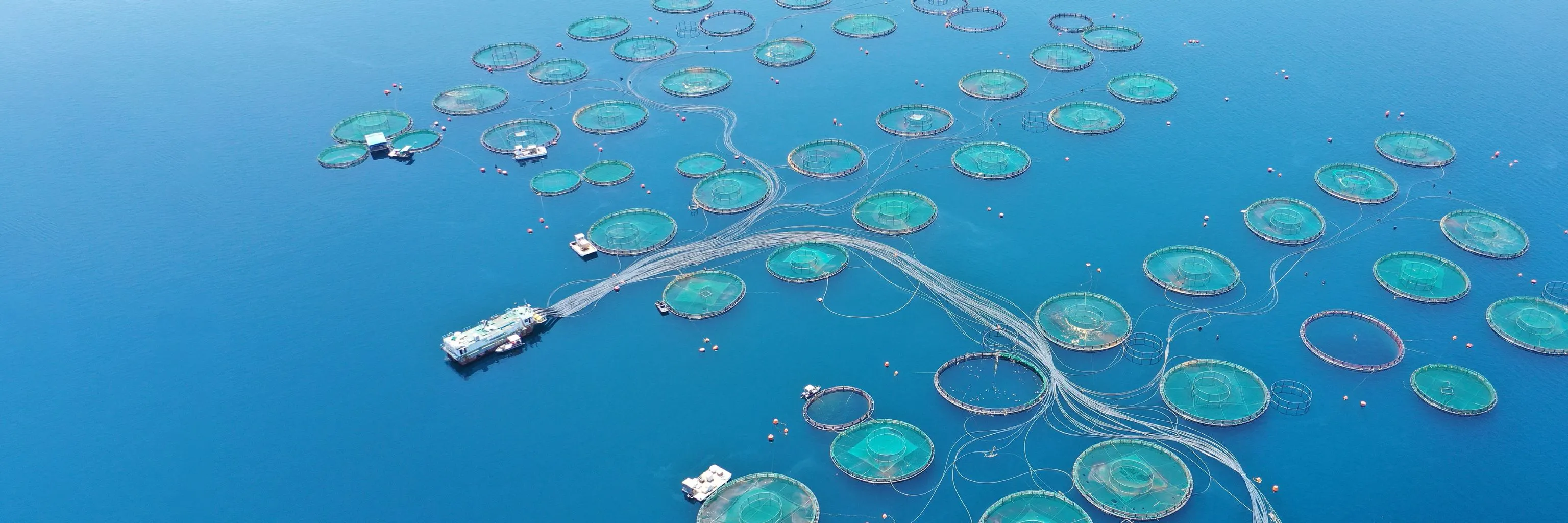 Study cover for Aquaculture