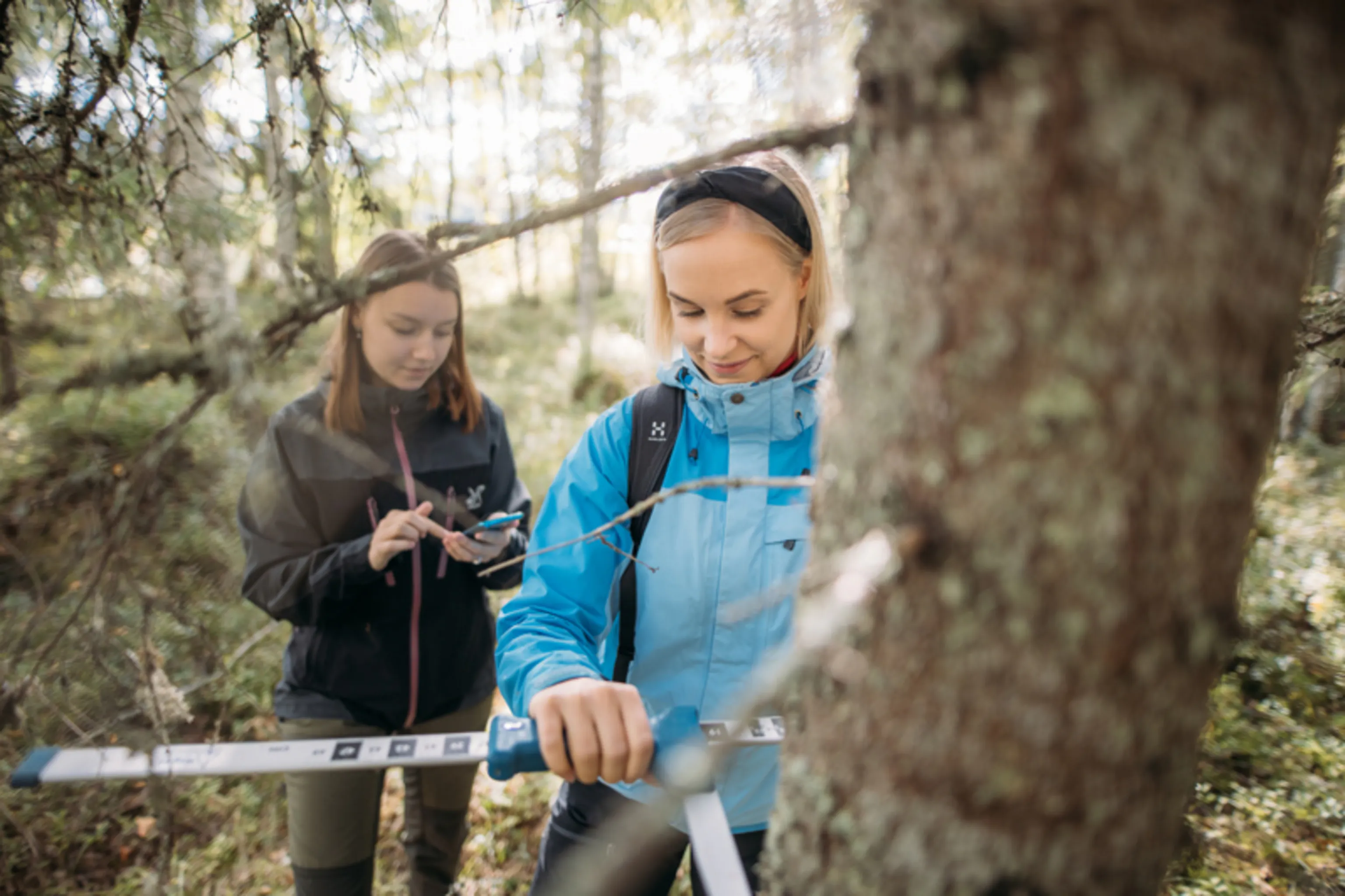 Study cover for Sustainable Forest Management