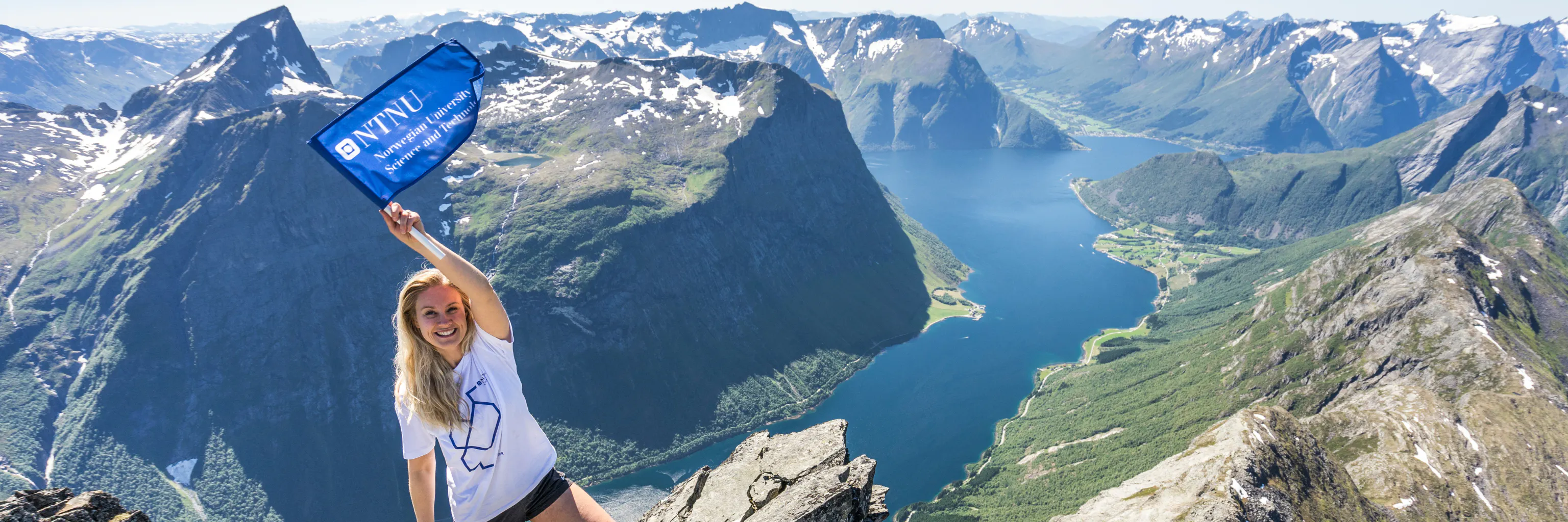 Study cover for International Business and Marketing