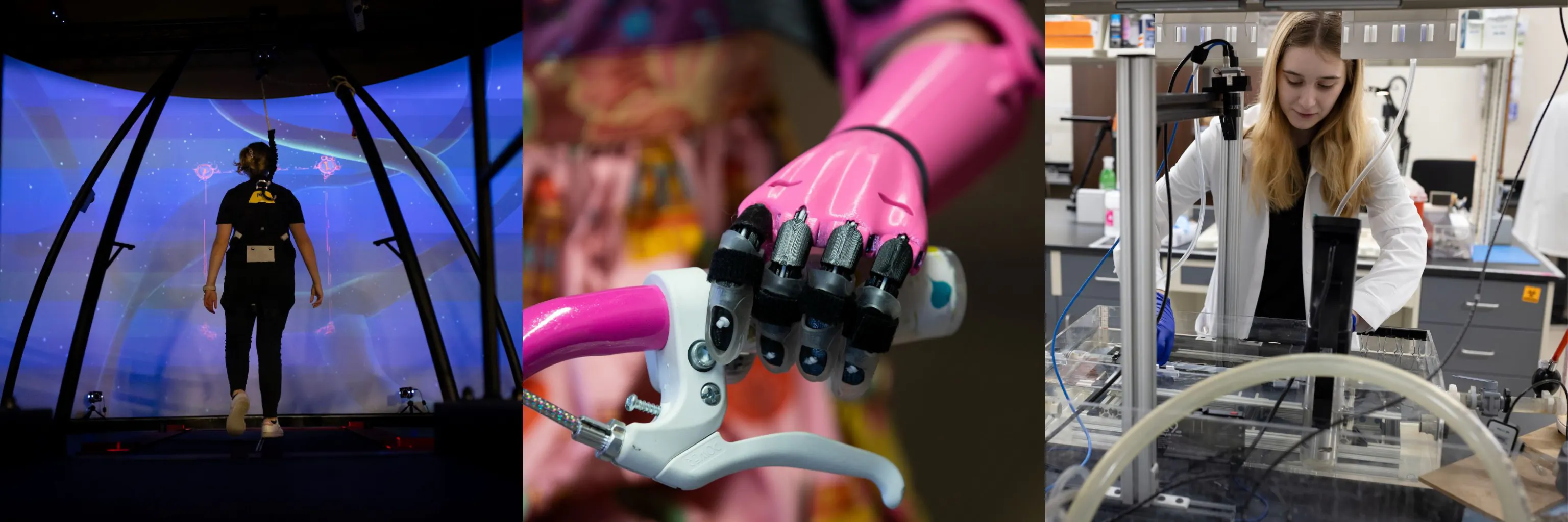 Study cover for Biomechanics (Cardiovascular)