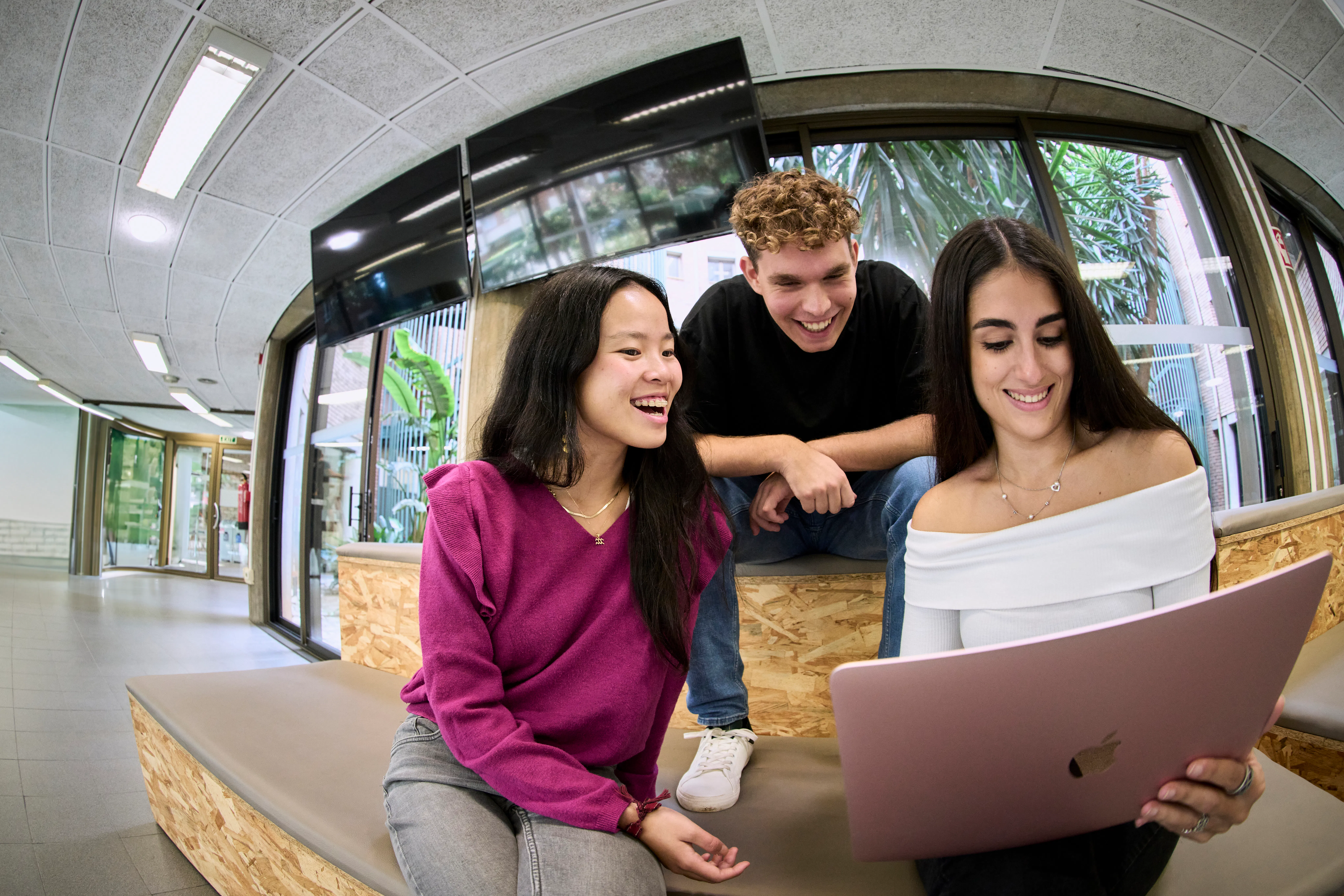 Study cover for Double Degree - Bachelor of Business Administration and Business and Artificial Intelligence